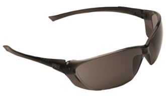 RICHTER SAFETY GLASSES  - UV Protection | Anti Scratch Lens | Lightweight and Comfortable to Wear